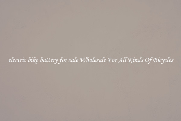 electric bike battery for sale Wholesale For All Kinds Of Bicycles