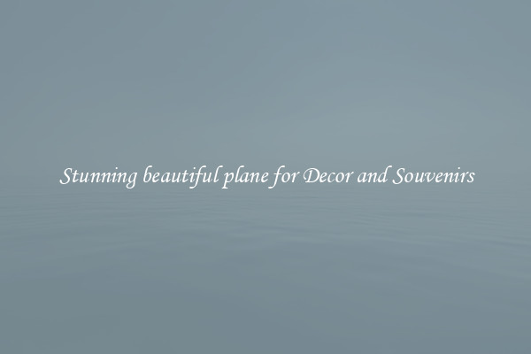 Stunning beautiful plane for Decor and Souvenirs