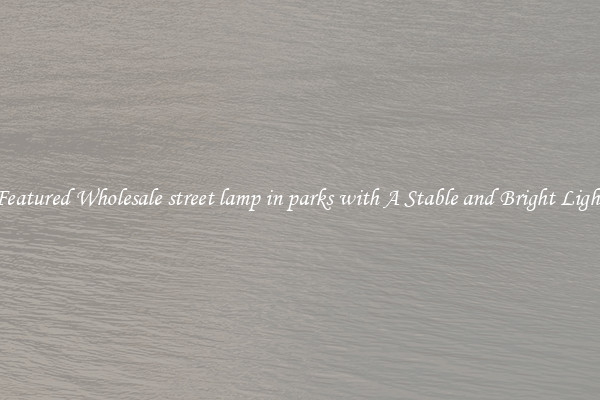 Featured Wholesale street lamp in parks with A Stable and Bright Light