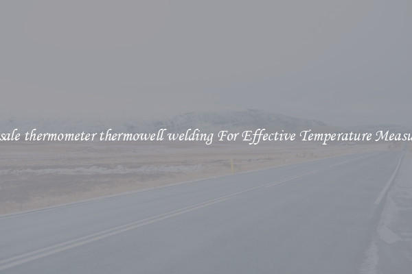 Wholesale thermometer thermowell welding For Effective Temperature Measurement