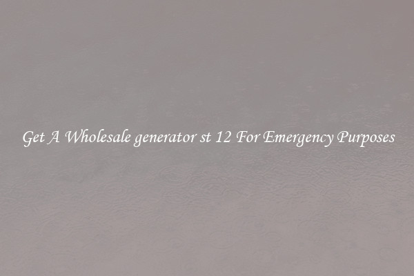 Get A Wholesale generator st 12 For Emergency Purposes