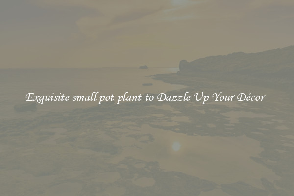 Exquisite small pot plant to Dazzle Up Your Décor  