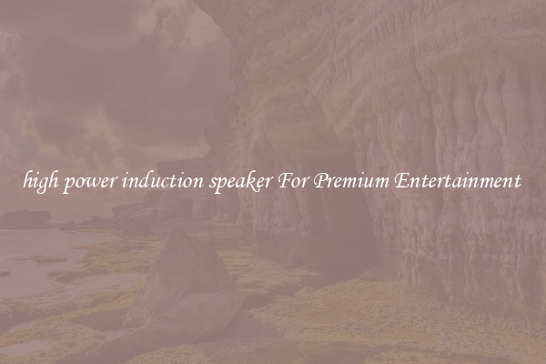 high power induction speaker For Premium Entertainment 