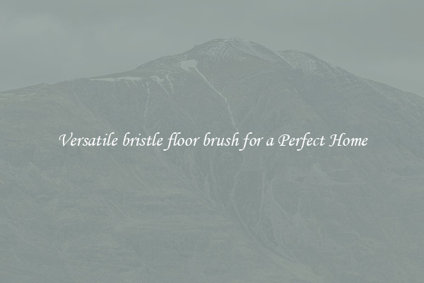 Versatile bristle floor brush for a Perfect Home