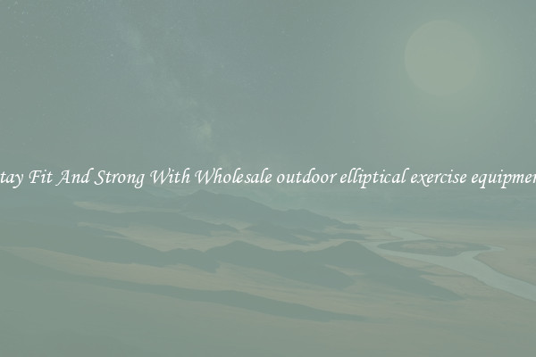 Stay Fit And Strong With Wholesale outdoor elliptical exercise equipment