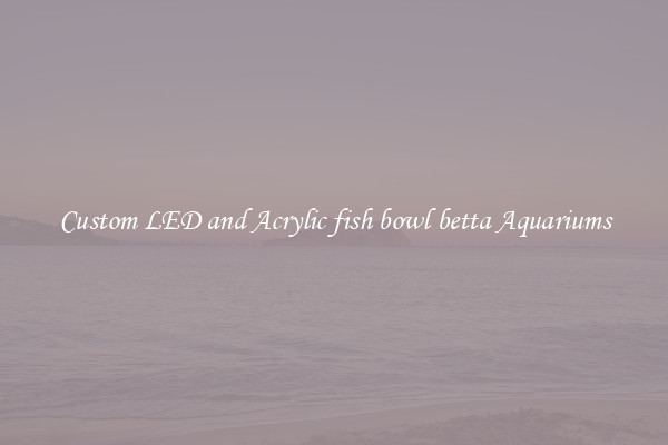 Custom LED and Acrylic fish bowl betta Aquariums
