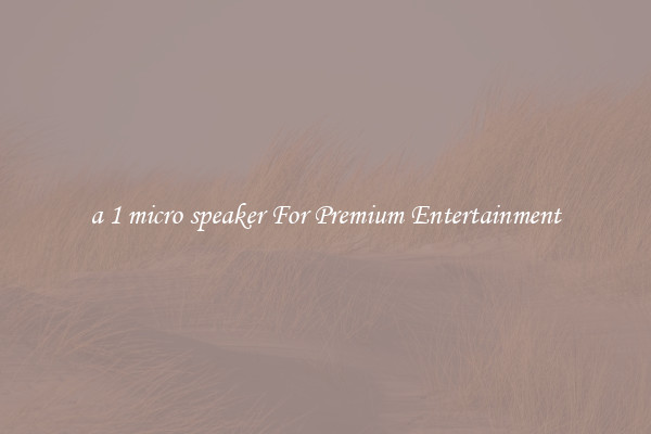 a 1 micro speaker For Premium Entertainment