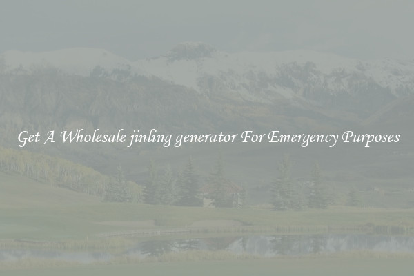 Get A Wholesale jinling generator For Emergency Purposes