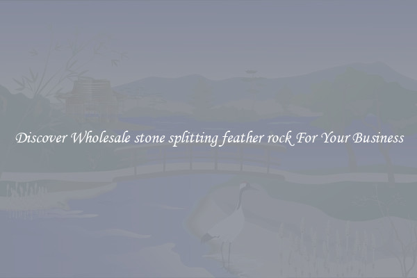 Discover Wholesale stone splitting feather rock For Your Business
