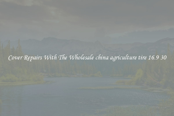  Cover Repairs With The Wholesale china agriculture tire 16.9 30 