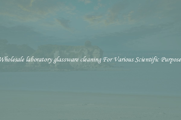 Wholesale laboratory glassware cleaning For Various Scientific Purposes
