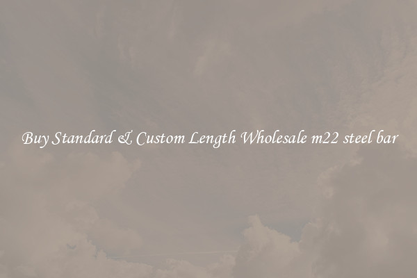 Buy Standard & Custom Length Wholesale m22 steel bar