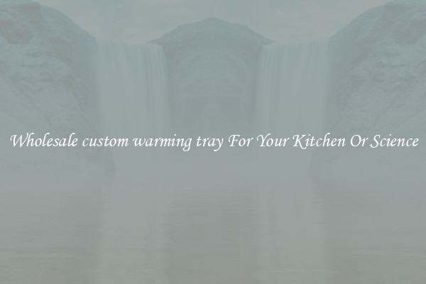 Wholesale custom warming tray For Your Kitchen Or Science