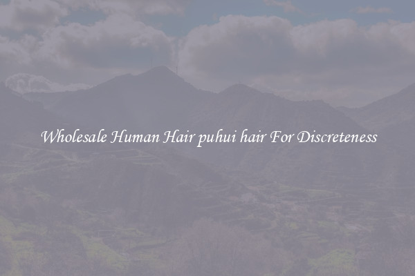 Wholesale Human Hair puhui hair For Discreteness