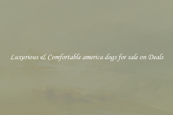 Luxurious & Comfortable america dogs for sale on Deals