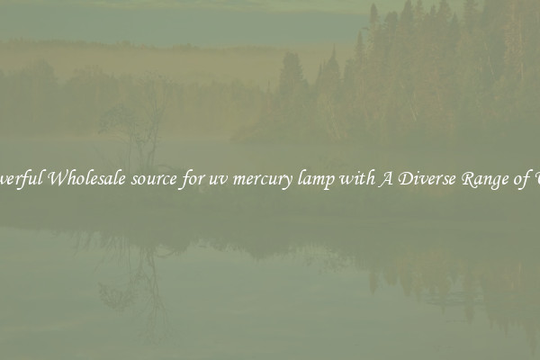 Powerful Wholesale source for uv mercury lamp with A Diverse Range of Uses
