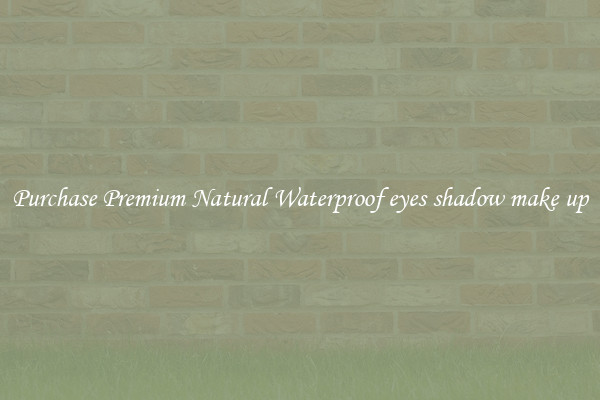 Purchase Premium Natural Waterproof eyes shadow make up